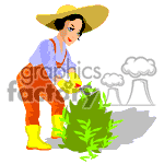 fla swf gif animated flash female women gardener bush bushes trimming lanscaping landscaper landscapers