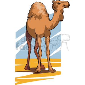 Camel clipart. Commercial use image # 129173