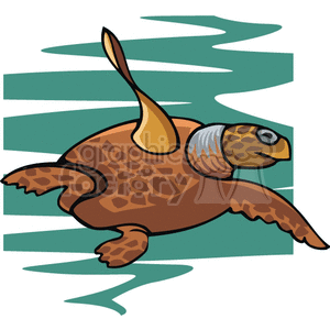 Sea Turtle clipart. Royalty-free image # 129234