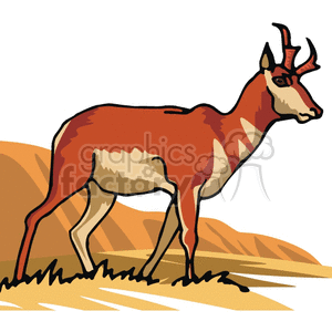 deer gazelle gazelles  deers  Anml097 Clip Art Animals wmf jpg png gif vector clipart images real realistic