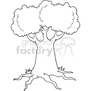 big tree outline clipart.