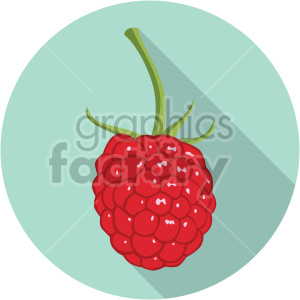 raspberry on circle background flat icon clip art clipart.