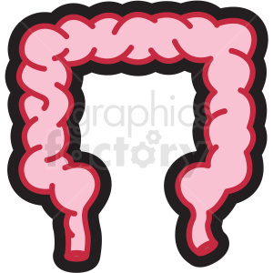 anatomy colon
