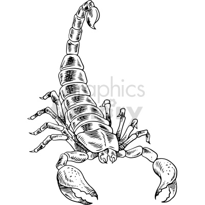 large black and white scorpion tattoo clipart
