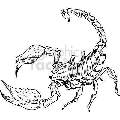 angry black and white scorpion tattoo clipart