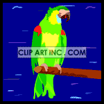   Parrot tropical bird birds macaw macaws parrots  animals006.gif Animations 2D Animals 