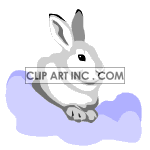 Animated wiggly eared bunny animation. Royalty-free animation # 119125