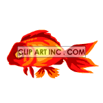   fish gold  zoo-021.gif Animations 2D Animals 