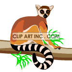 Animated Lemur clipart.