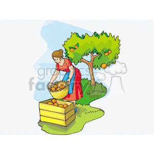 Women Harvesting From Apple Tree clipart. Royalty-free image # 128250