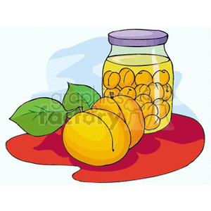 Jar of Apricots Two Apricots with Leaves clipart.