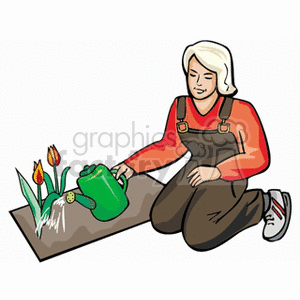 Lady in overalls watering her flower bed clipart. Commercial use image # 128465