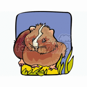 cavy clipart. Royalty-free image # 128880