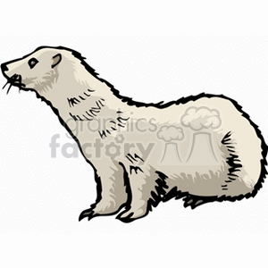 White ferret clipart. Royalty-free image # 128981