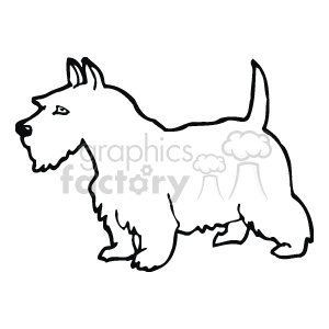  dog dogs  Clip Art Animals Schnauzer black white outline