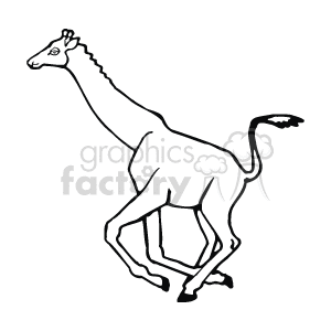 The clipart image depicts a vector illustration of a giraffe running. The giraffe appears in motion with its legs outstretched and their necks extended upwards. 