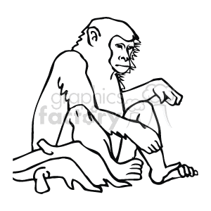 The line illustration shows a monkey sitting on a branch 