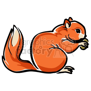 Squirrel eating a nut clipart. Commercial use image # 129503