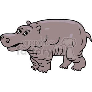 Hippopotamus with open mouth at river bank