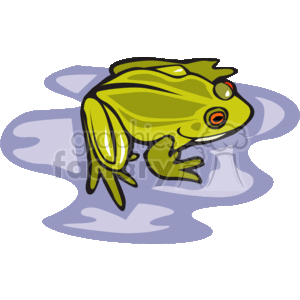 Tree frog with red eyes clipart. Commercial use image # 129764