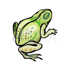 Full body profile of green spotted frog clipart.
