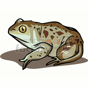   frog frogs water animals amphibian amphibians  frog06.gif Clip Art Animals Amphibians toad spotted brown profile