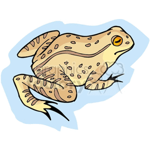 Tan spotted frog with orange eyes  clipart. Royalty-free image # 129837