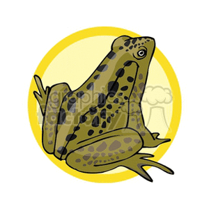 Green toad with black spots clipart. Royalty-free image # 129925