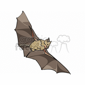 Flying gray bat