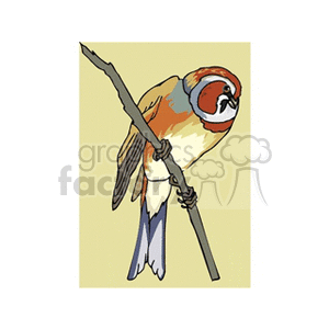 Red-face bunting bird clipart. Commercial use image # 130259