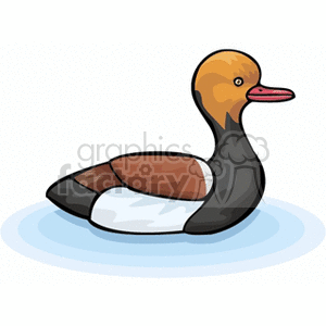 Side profile of common duck, swimming clipart. Commercial use image # 130314