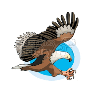 clipart - Great American Bald eagle with out stretched talons.