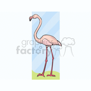 clipart - Pink flamingo standing in grass.