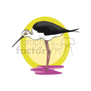 Loon with yellow background clipart. Royalty-free image # 130488