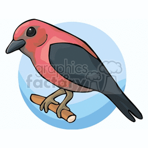 Scarlet Tanager perched on a branch clipart. Royalty-free image # 130603