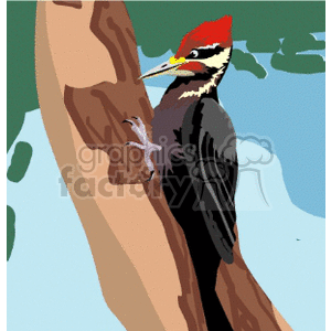  bird birds animals woodpecker woodpeckers tree trees  woodpecker01.gif Clip Art Animals Birds 