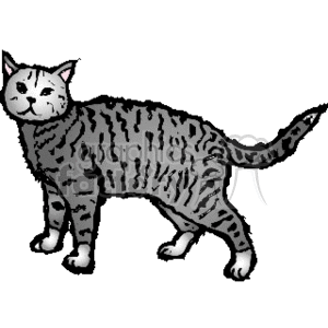 Full body profile of a gray tabby cat