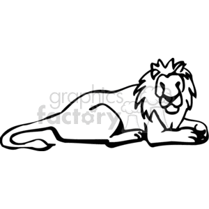 Black and white male lion lying on his belly clipart. Commercial use image # 131038