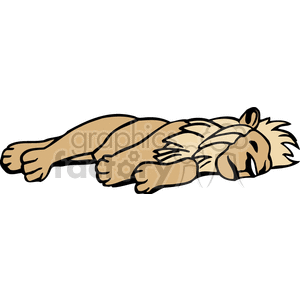 A golden colored male lion sleeping on his side clipart. Commercial use image # 131086