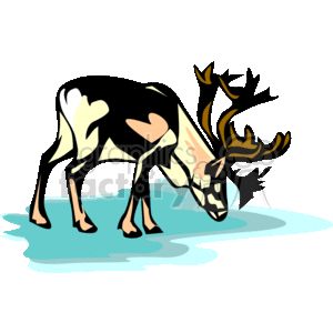 clipart - Arctic reindeer standing on the frozen earth.