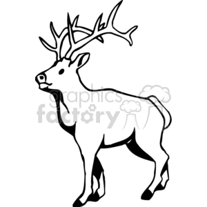   deer deers buck  BAB0134.gif Clip Art Animals Deer 