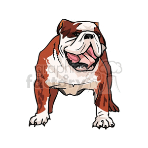Bulldog clipart. Royalty-free image # 131717