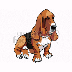 black brown and white basset hound clipart. Commercial use image # 131722