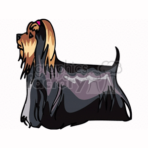 dog30 clipart. Royalty-free image # 131727