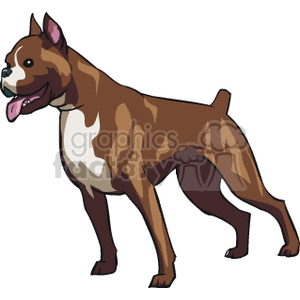 Brown Boxer dog with tongue hanging out clipart. Commercial use image # 131868
