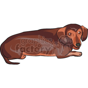 brown wiener dog clipart. Royalty-free image # 131870