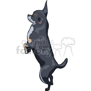 Dogs038 clipart. Royalty-free image # 131872