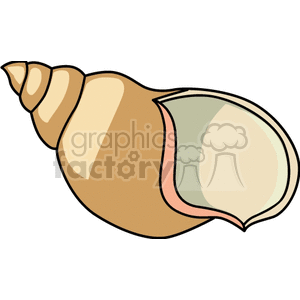   sea shell shells  FAF0102.gif Clip Art Animals Fish 