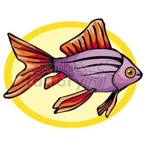 fish131