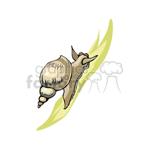 The clipart image features a snail gliding on a leaf. The snail is depicted in a stylized manner with a focus on its coiled shell and extended antennae.